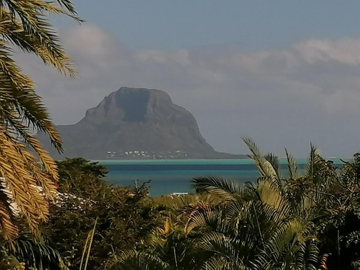 Terre Et Mer - Studios - Ile Maurice Rivière Noire Kültér fotó