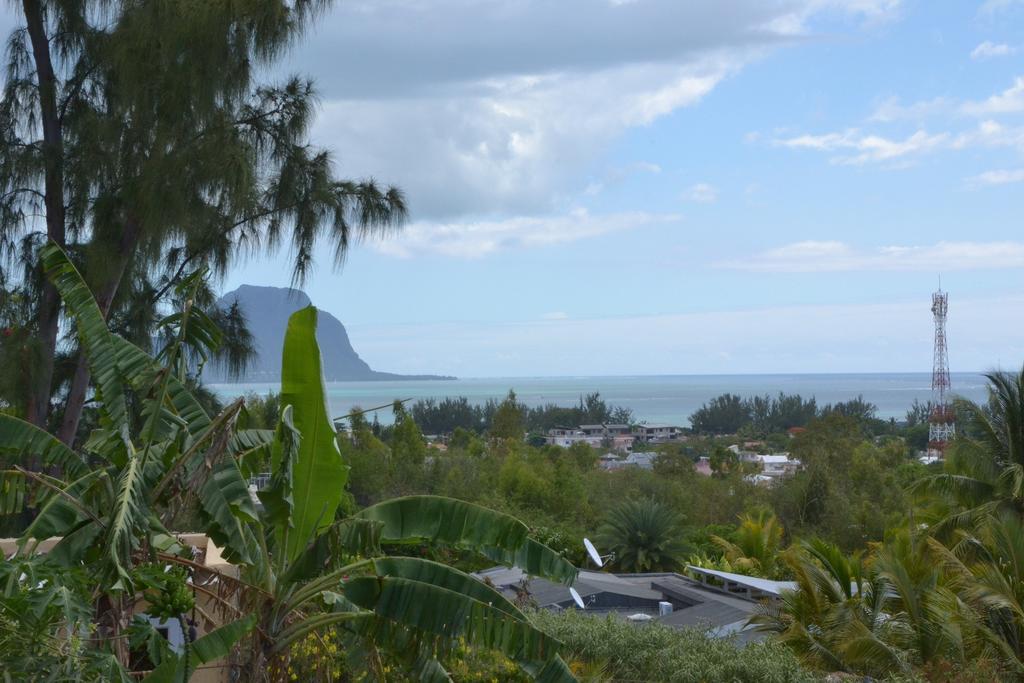 Terre Et Mer - Studios - Ile Maurice Rivière Noire Kültér fotó